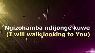 bucy radebe uzuyigcine impilo yam lyrics and translation video