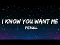 Download Lagu Pitbull - I Know You Want Me (Calle Ocho) (Lyrics)