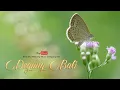 Download Lagu Beautiful Relaxing Music │ Degung Bali (1 Hour)