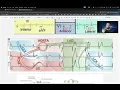 Emergency Medicine EOR Review ACLS and EKGs