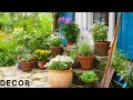 Download Lagu Las plantas ayudan a tu salud mental ! TENDENCIAS 2025 BIOFILIA NUEVA DECORACIÓN , IDEAS