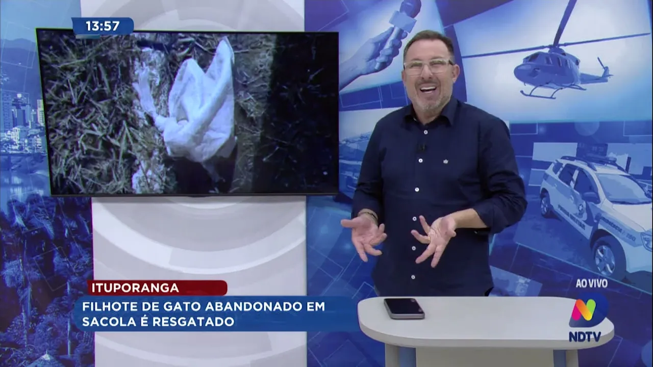 Filhote de gato abandonado em sacola é resgatado no Alto Vale