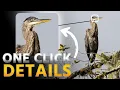 Photoshop s HIDDEN Filter For RAZOR SHARP Images