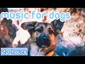 Download Lagu [NO ADS] Music for Dogs: Relaxation Tones to Calm Anxiety \u0026 Stress!