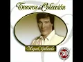 Download Lagu Miguel Gallardo - Te Acordarás de Mí