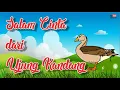 Download Lagu Salam Cinta dari Ujung Kandang (Ternak Entog)