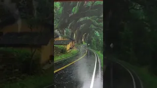 مطر الشتاء حالات واتس 