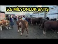 Download Lagu 30 EYLÜL KIRIKKALE HAYVAN PAZARI 