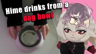 Download Hime drinks from a dog bowl, I wish that was clickbait MP3