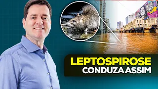 Leptospirose - Diagnóstico, Tratamento e Profilaxia