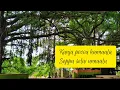 Kanja Poovu Kannala Lyrics [Remix] | Viruman | Yuvan Shankar Raja | Sid Sriram | Karthi