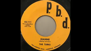 the turks dianne baja 1960s garage surf full single