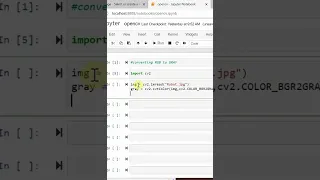 Open cv Converting a color image to gray image