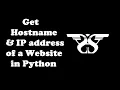 242 How to Get the Hostname and IP address of a Website in Python with Code