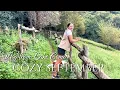 Download Lagu COZY September Vlog from Lake COMO 🐞 Contry living 