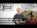 Finding Good Soil The Parable of the Sower One-Minute Homily