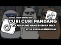 Lagu DJ CURI CURI PANDANG STYLE KONDANG MENGKANE VIRAL TIKTOK