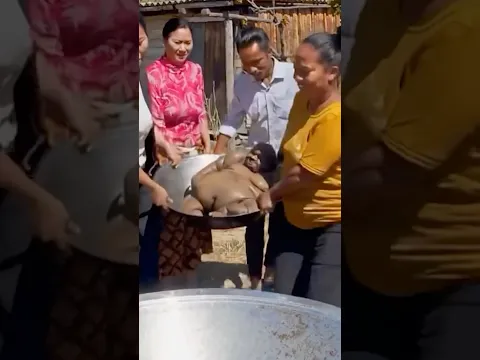 Caldo de bebé mutante