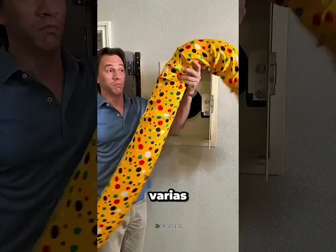 ¡Su esposa NO tenía idea de lo que había detrás de ese cuadro! 😱😂