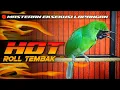 Lagu 🔴HOT‼️CUCAK IJO GACOR JAMTROK FULL ROLL TEMBAK 