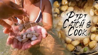 How to Catch & Cook Pipis Chinese XO Style *BONUS Episode* Sailing Popao