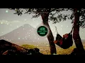 COSMONKEY - Rainy