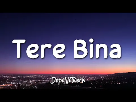 Download MP3 Shreea Kaul - Tere Bina (Lyrics)