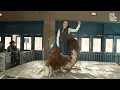 Watch News 8 s Josslyn Howard rides mechanical bull at Pennsylvania Farm Show