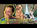 Lagu Deze film heeft mij VERNIETIGD!!! - Reactie van Homeward Bound