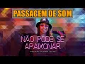 Download Lagu NÃO PODE SE APAIXONAR - MC DANY, XAND AVIÃO \u0026 DJ IVIS - PASSAGEM DE SOM - (REMIX)