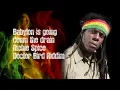 Babylon is going down the drain - Richie Spice - Doctor Bird Riddim