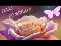Un DOMINGO de bendiciones deseo parati Miralo te lo dedico