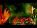 Download Lagu The 6 (six) Kalimas - Basic Faith Teachings of Islam - TrueGuidanceISLAM - HD