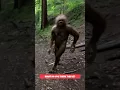 Download Lagu Yeti or Sasquatch on Trail Cam? #shorts
