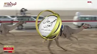 ش19 وعد لـ الشيخ حامد محمد بالركاض العامري مهرجان العين لسباقات الهجن 9 8 2025ص ثنايا بكار 6 26 81 