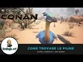 Conan Exiles How to get Feathers