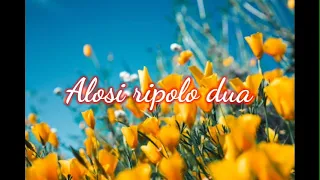 Download Alosi ripolo dua (lirik)#cover MP3