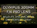Olympus 300mm Pro Lens First Impressions