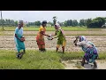 Download Lagu লাউ দিয়ে মৌরলা মাছ মাঠে কাজ করার সাথে সকলে মিলে একসাথে খাওয়া দাওয়া ll