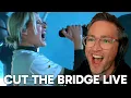 Download Lagu Cut the Bridge (Live) - Linkin Park Reaction