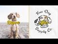 Procreate LOGO DESIGN from Random Pictures