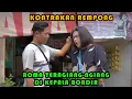 Download Lagu ROMA TERNGIANG -NGIANG DI KEPALA BORDIR || KONTRAKAN REMPONG EPISODE 388