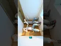 Download Lagu Tiny House Design for Couple #shorts #bedroom