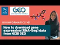 Bioinformatics 101 How to download RNA-Seq data from NCBI GEO Bioinformatics for beginners