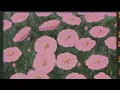 Benee - Same effect [lyrics]