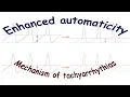 Enhanced automaticity Mechanism of tachyarrhythmias