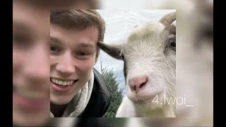 الماس شسوى بيه مسرع Speed Ub 