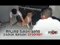Download Lagu DITOLAK BANYAK GROOMER, AKHIRNYA BISA DIMANDIKAN DI FLOKI PET CARE ‼️