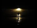 Snowy White - Midnight Blues ( Johny Water  rework  )