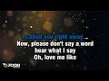 Brenda K Starr - Love Me Like The First Time (Karaoke Version) with Lyrics On Screen